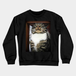 Eat You I Will Crewneck Sweatshirt